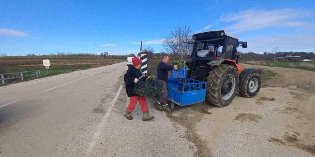 4 mevsim toprakta emek veriyorlar! Karı-koca bir mesai: Aracısız pazara ulaşıyor 5